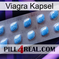 Viagra Capsule viagra3